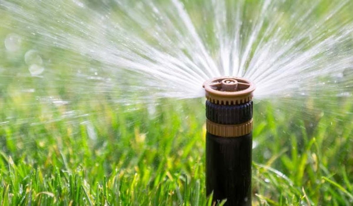 In June, 20.7 Million Cubic Meters of Treated Wastewater Used for Irrigation